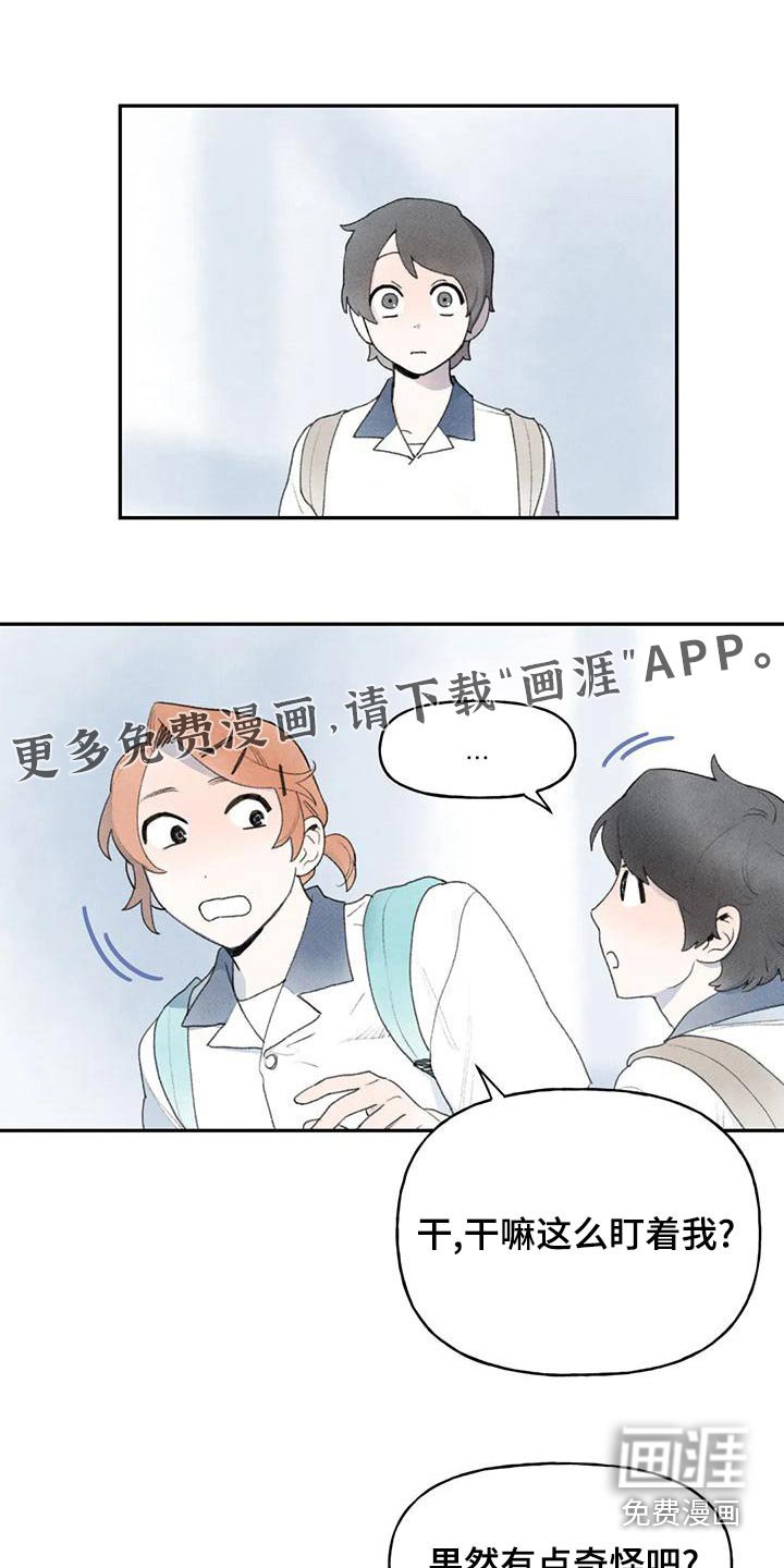 第87章：头发