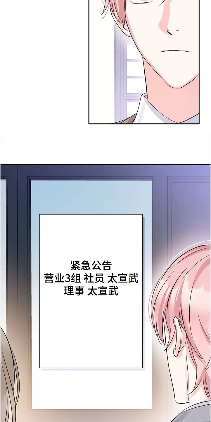 第28章：新任理事