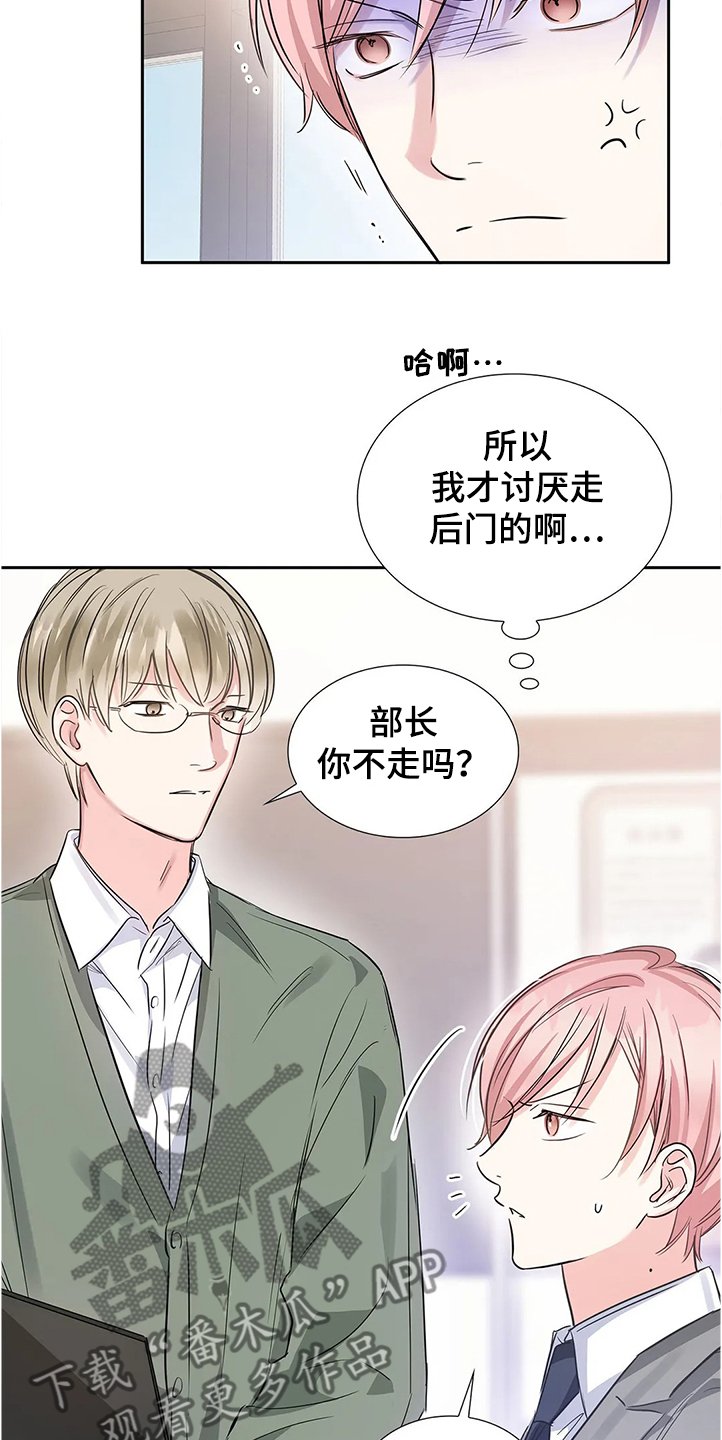 第28章：新任理事
