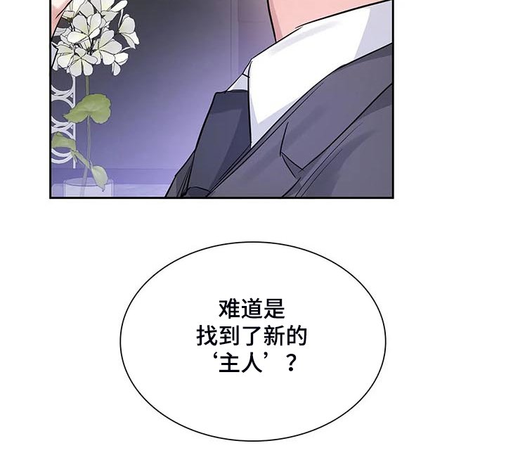 第38章：新的主人