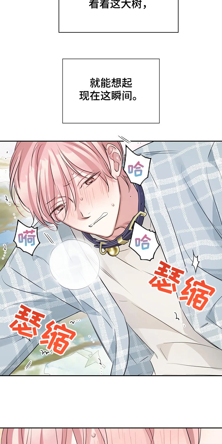第45章：这绝对是报复