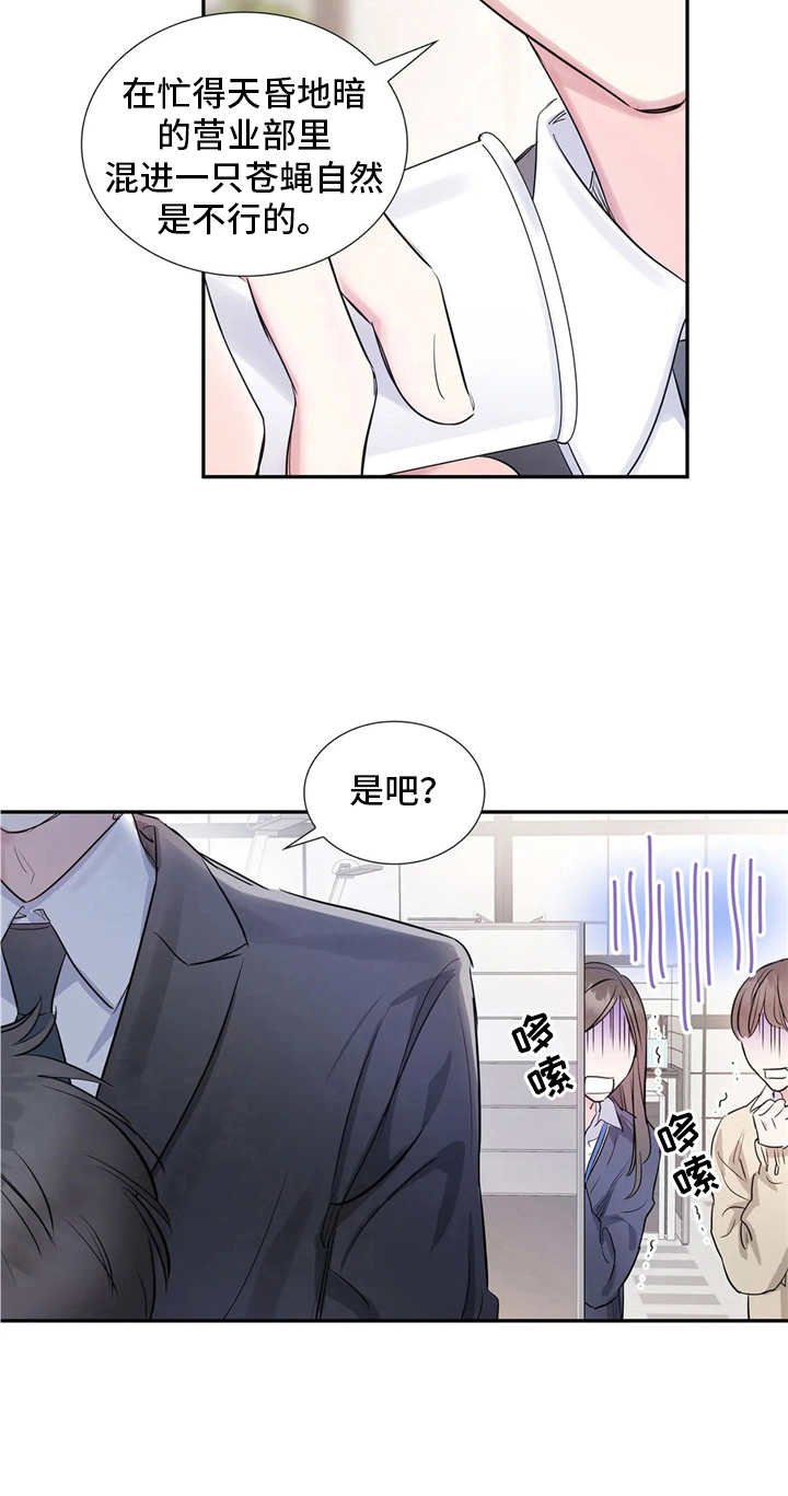 第6章：苍蝇
