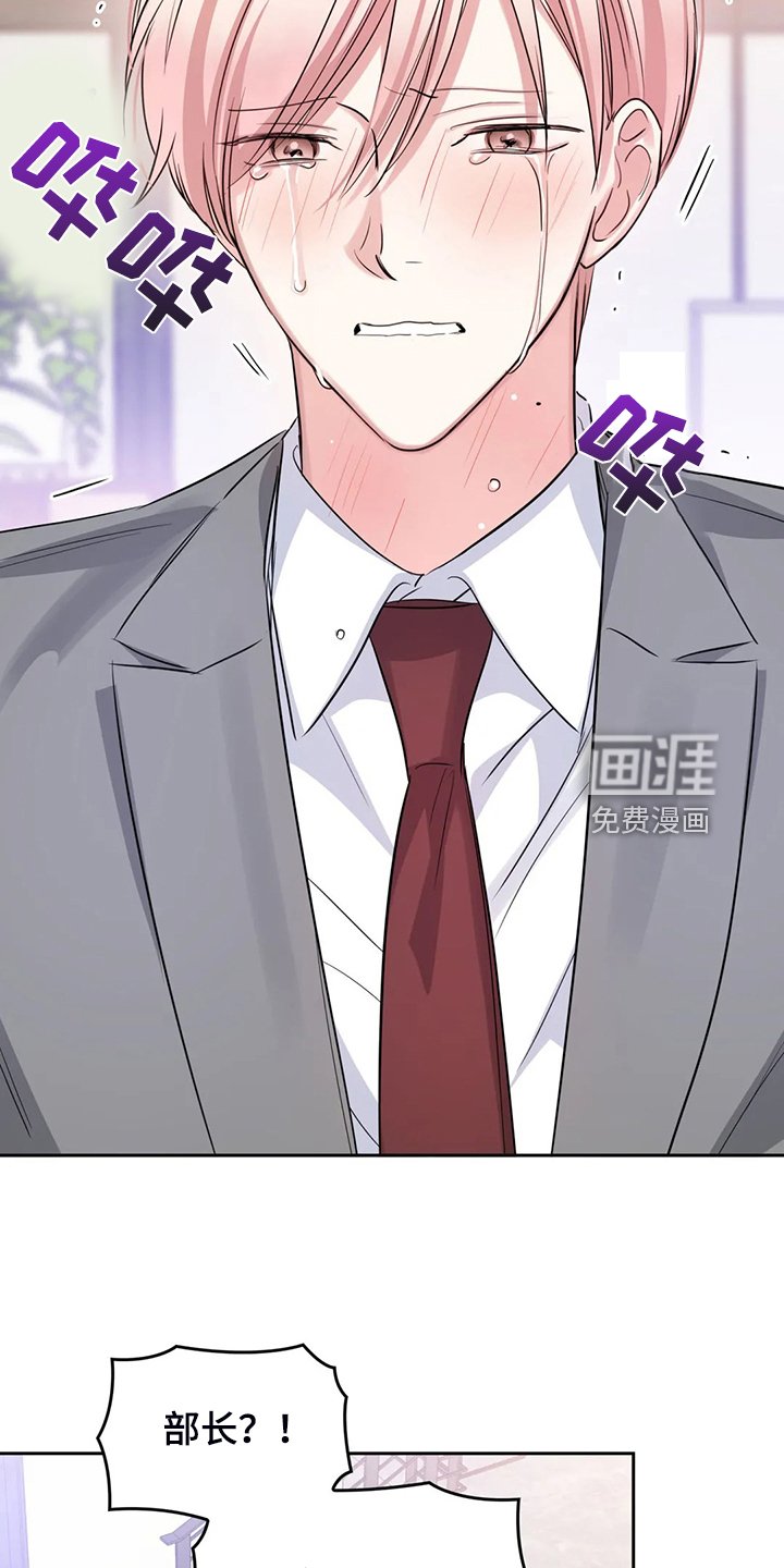 第60章：卸任理事