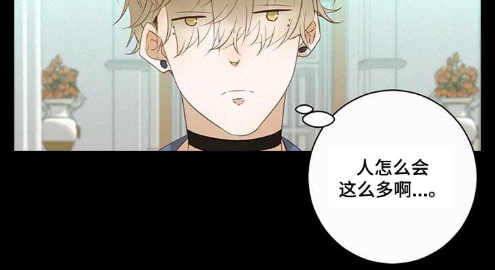 第31章：歉意