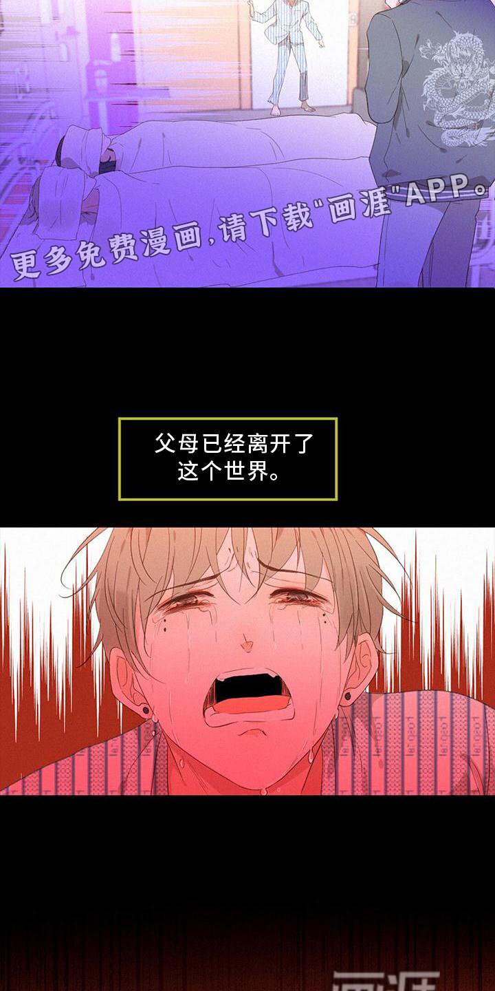 第37章：真相