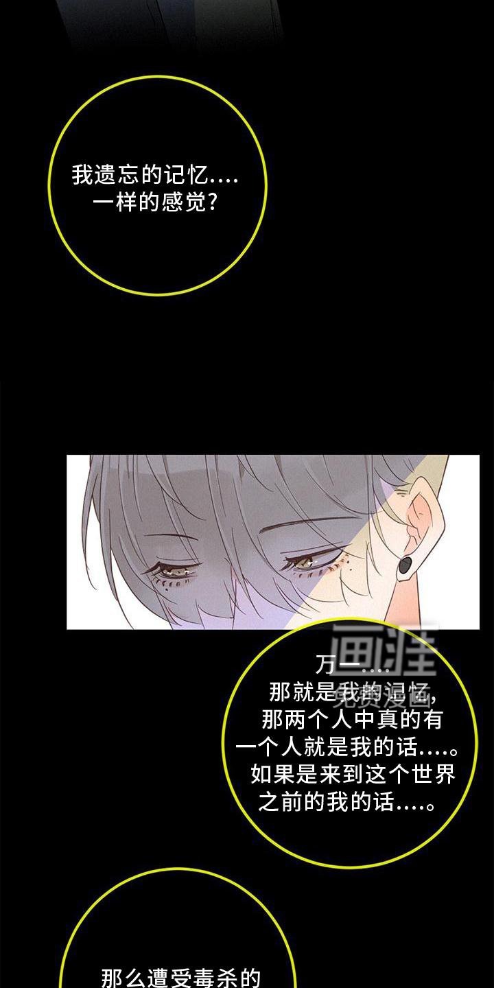 第40章：尽情玩