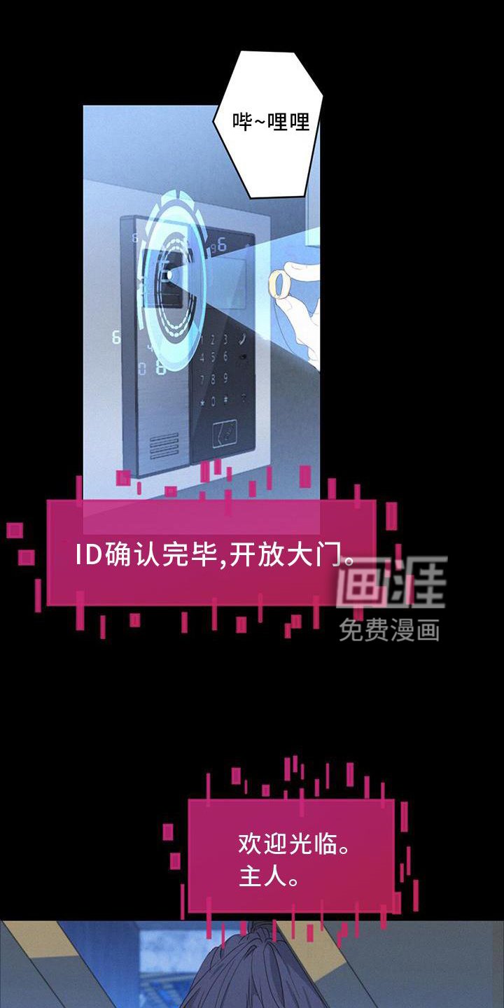 第49章：感觉