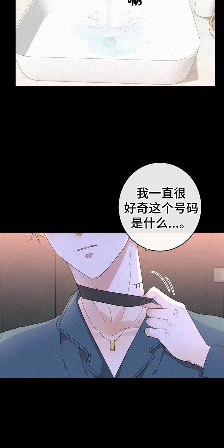 第53章：记忆