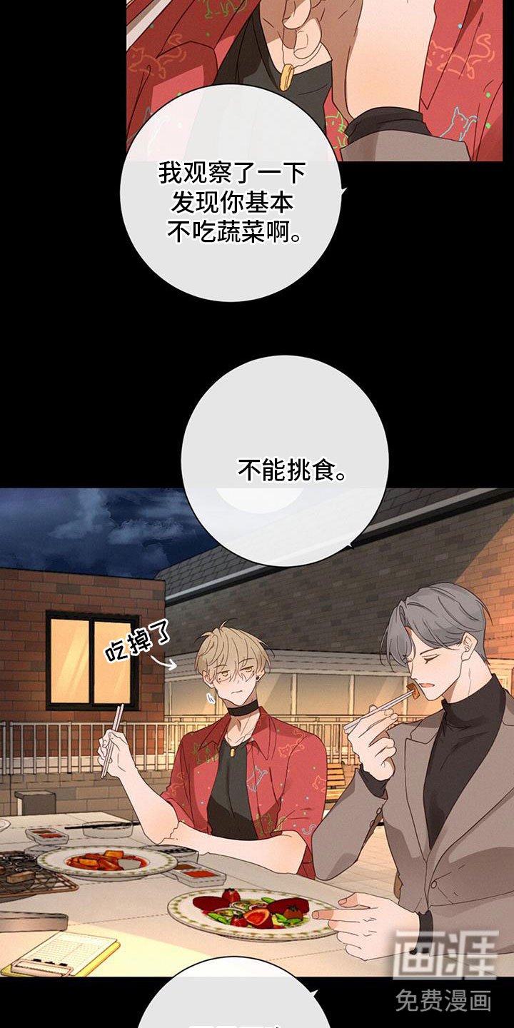 第65章：虐狗
