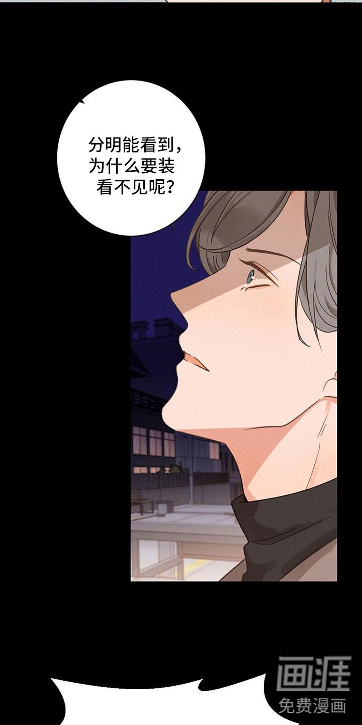 第66章：看得见