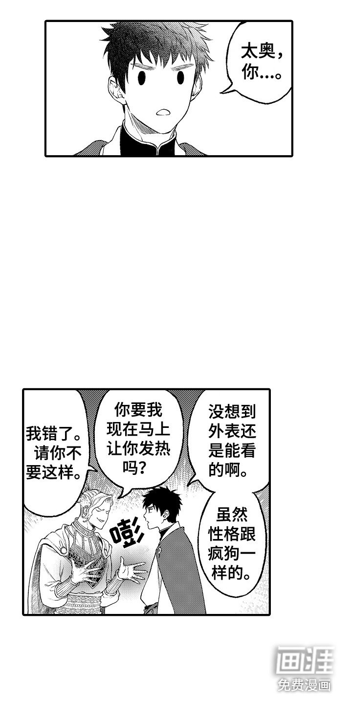 第15章：庆典
