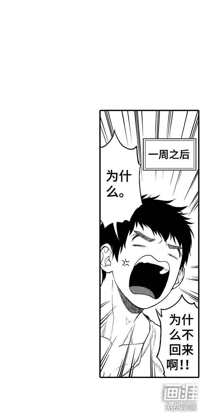 第19章：不在家