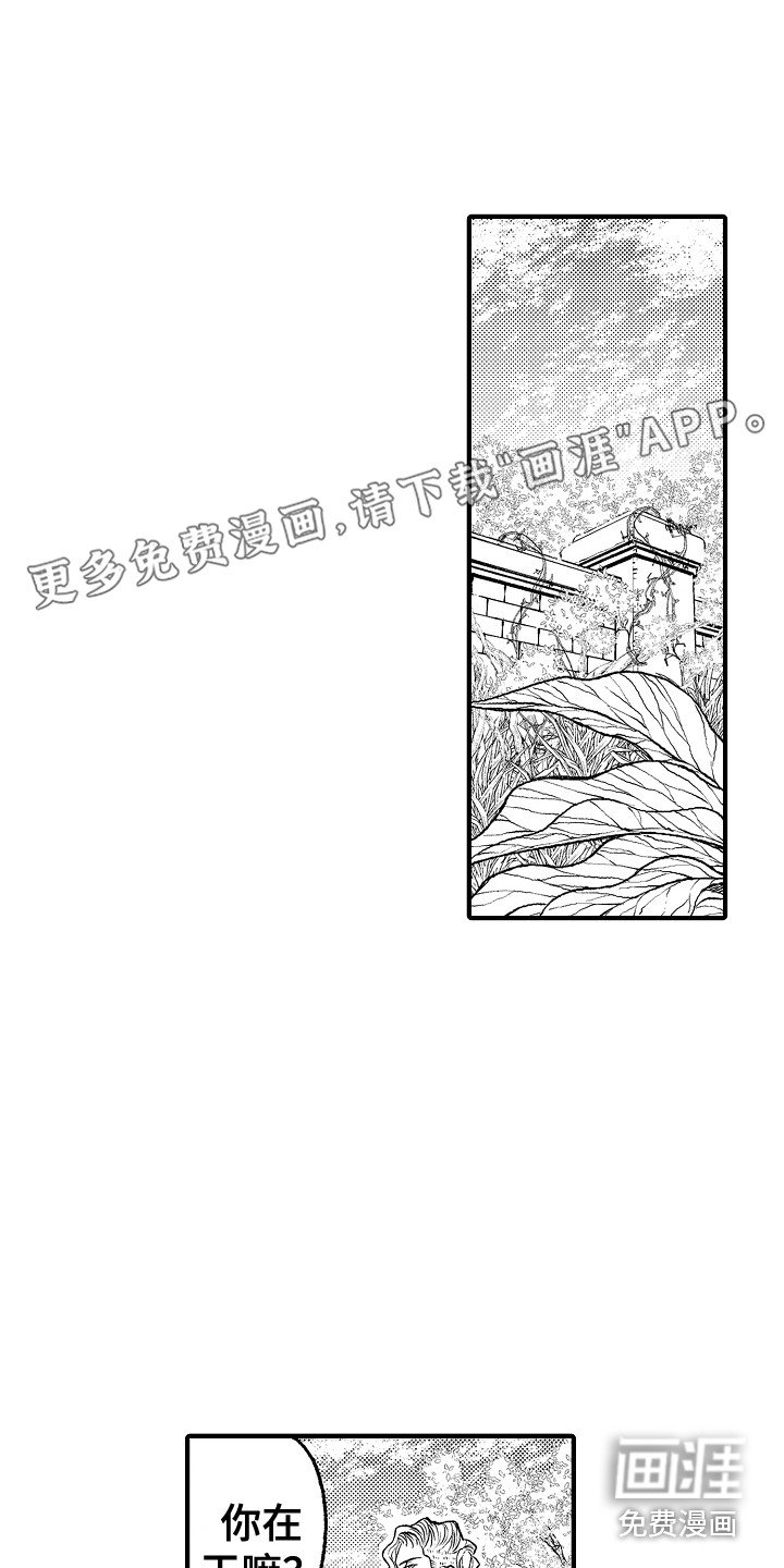 第8章：果园