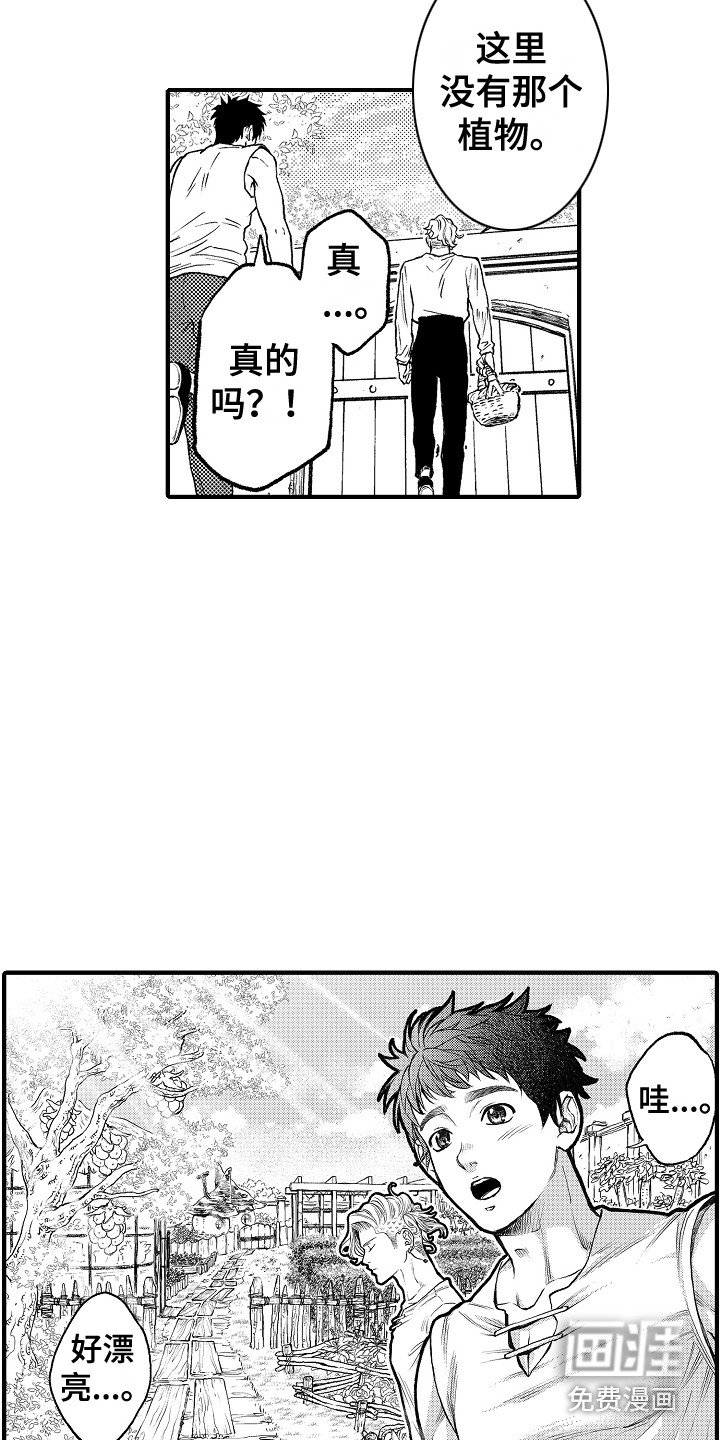 第8章：果园