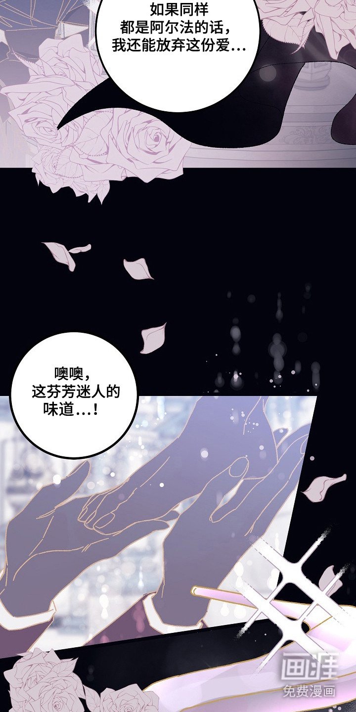 第1章：互相吸引