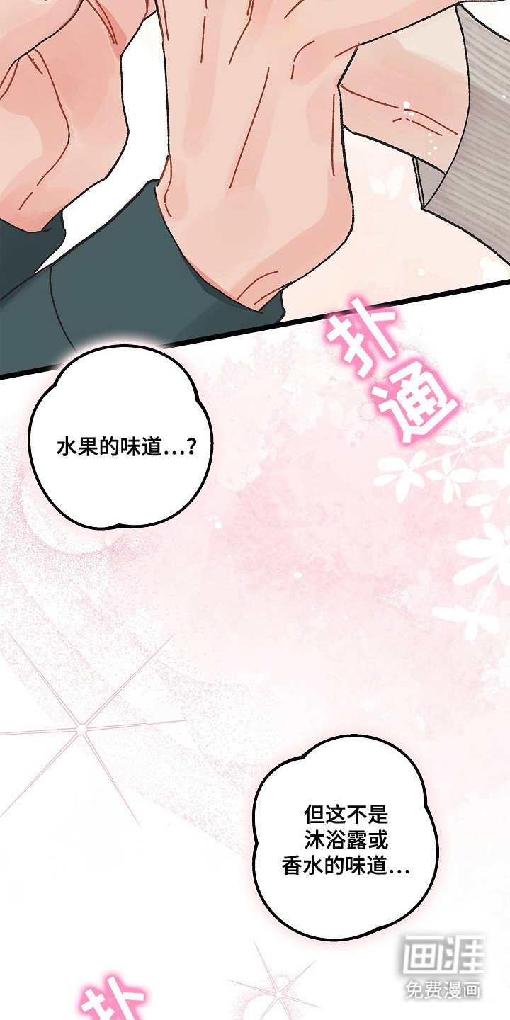 第10章：好闻的味道