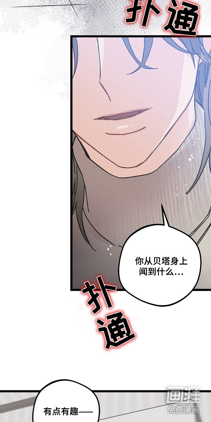 第10章：好闻的味道