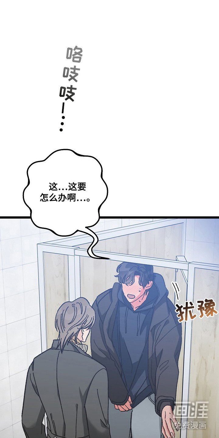 第15章：权宜之计