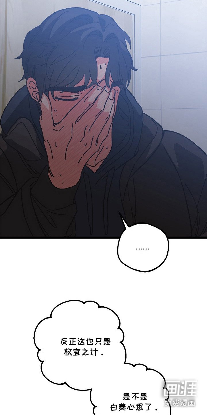 第15章：权宜之计