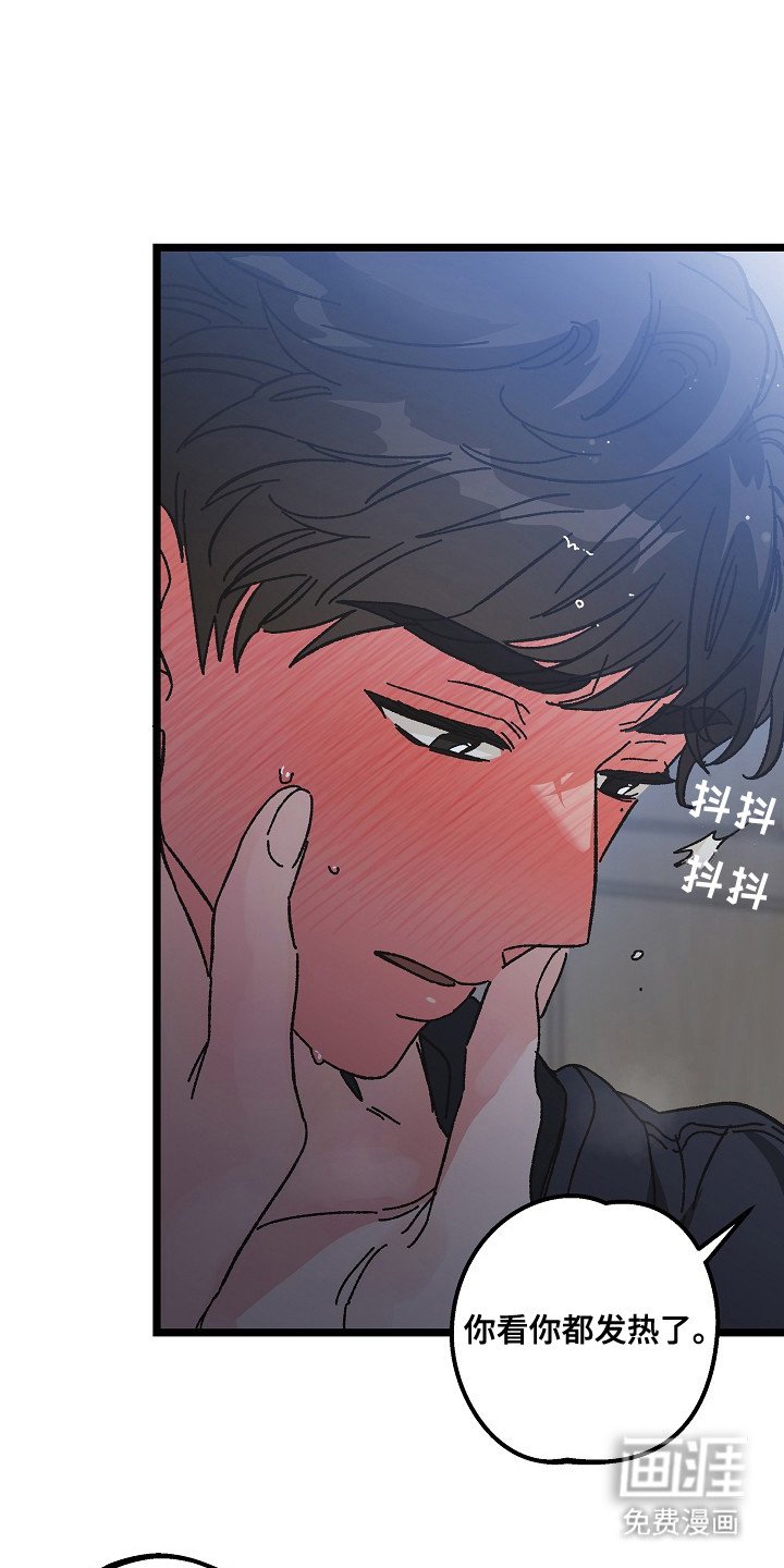 第20章：真心话