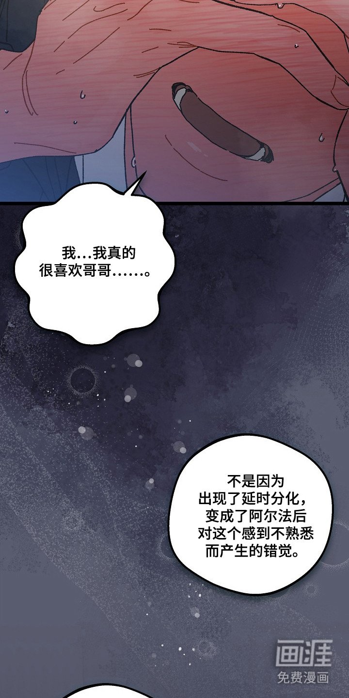 第20章：真心话