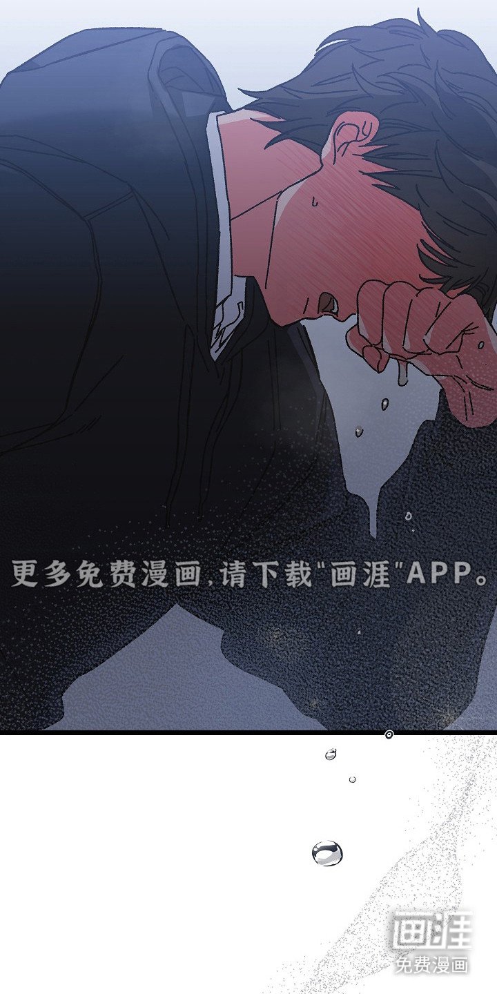 第20章：真心话