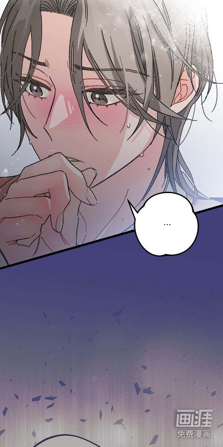 第20章：真心话