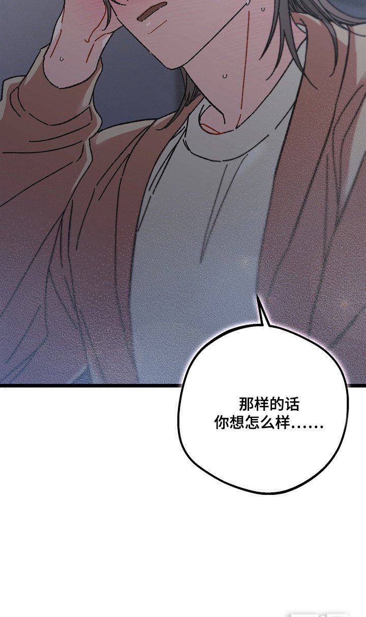 第20章：真心话