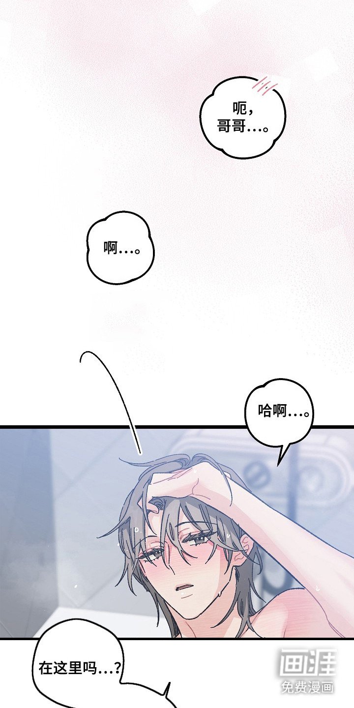 第22章：命中注定的一半
