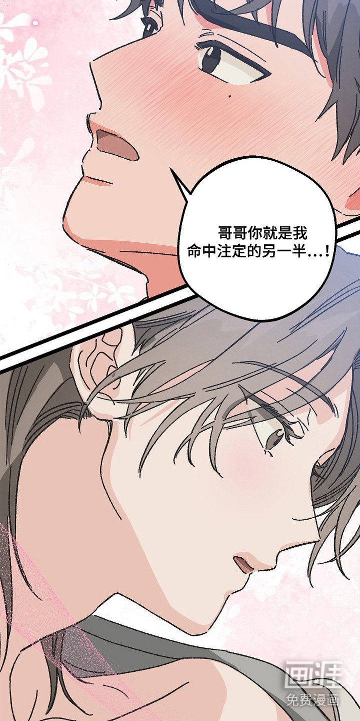 第22章：命中注定的一半