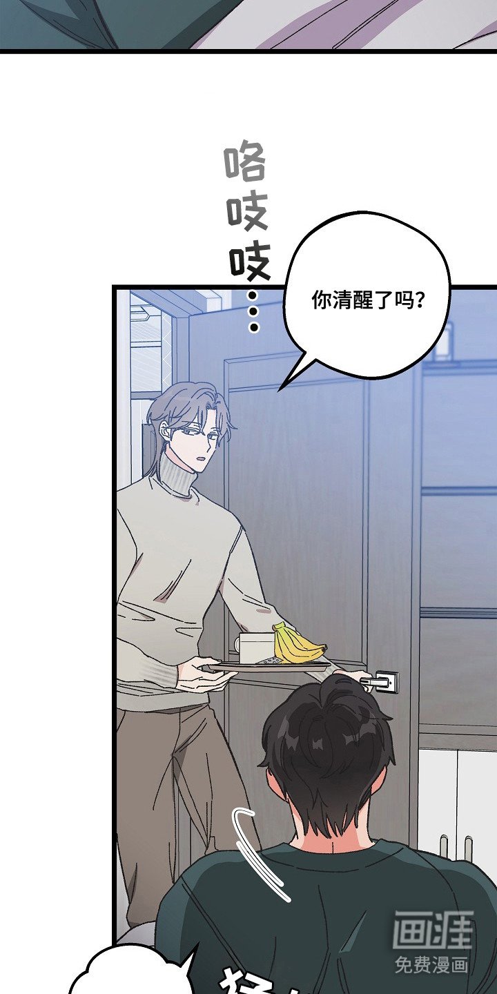 第9章：二次分化