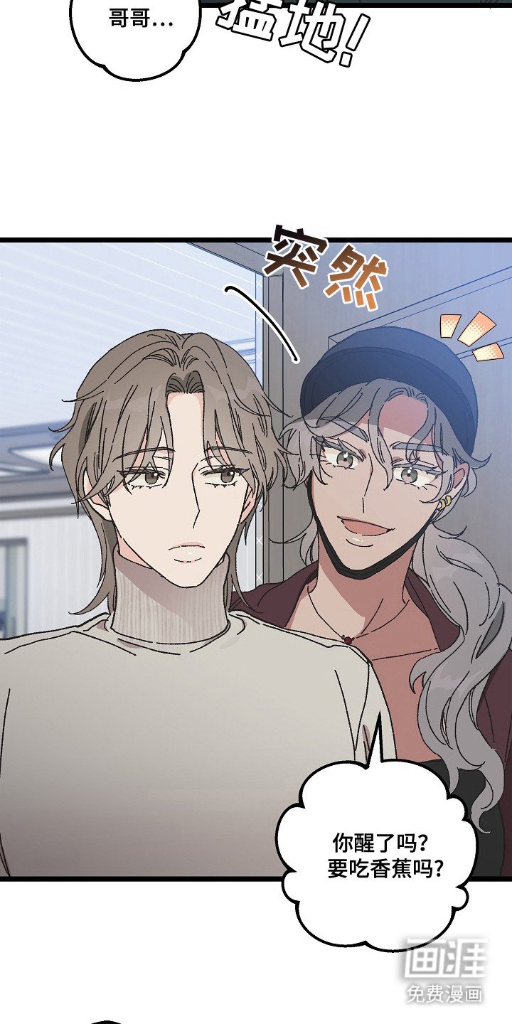 第9章：二次分化