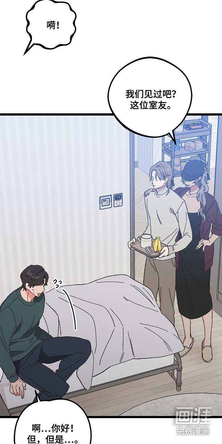 第9章：二次分化