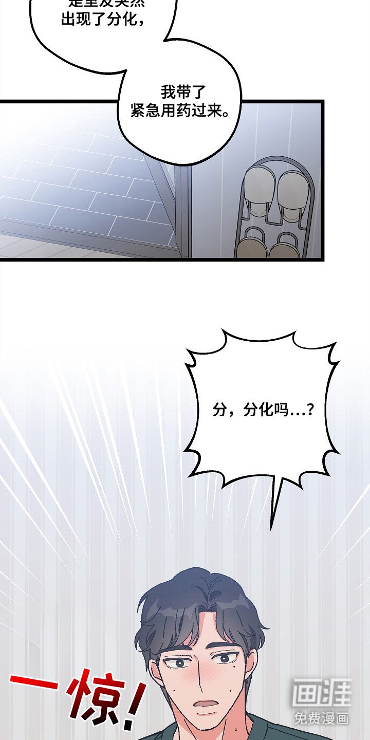 第9章：二次分化