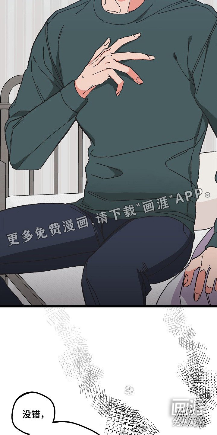 第9章：二次分化