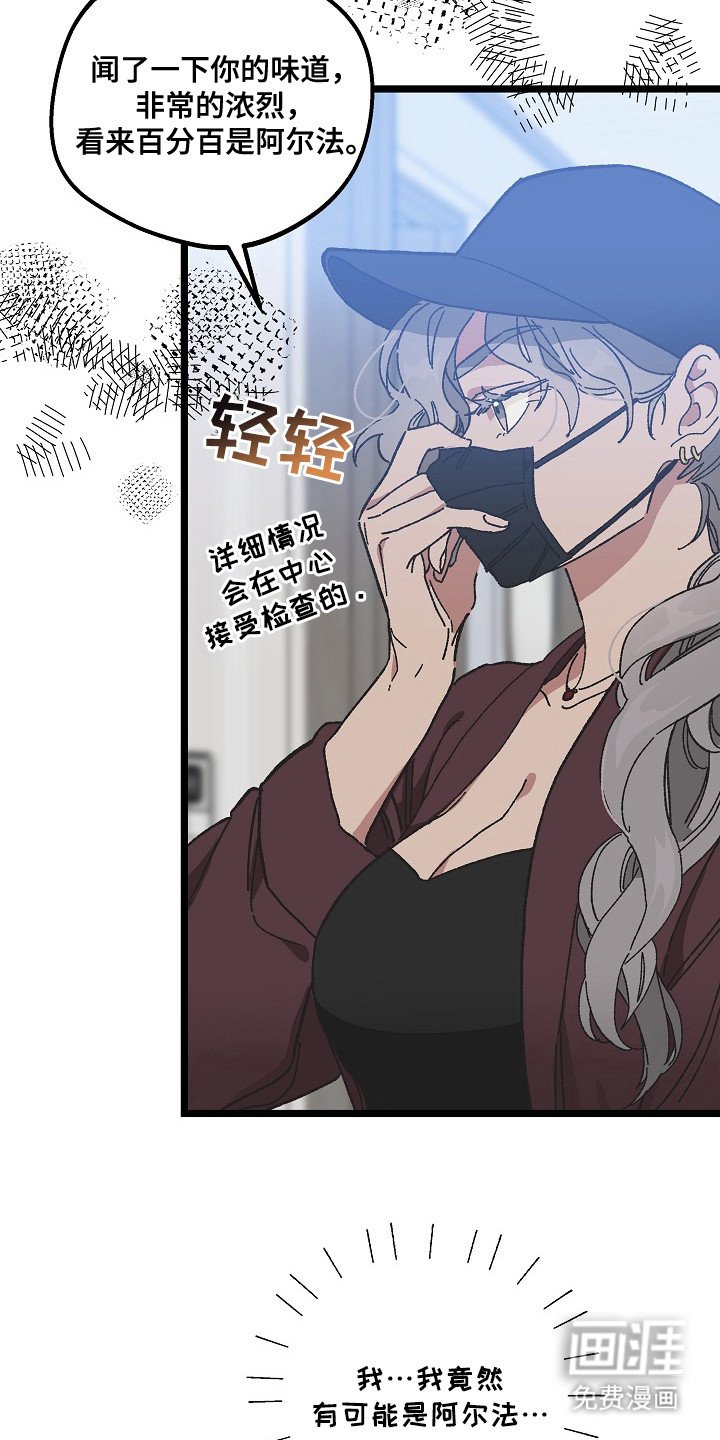 第9章：二次分化