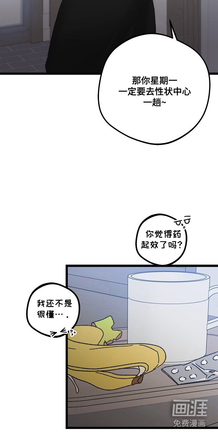 第9章：二次分化