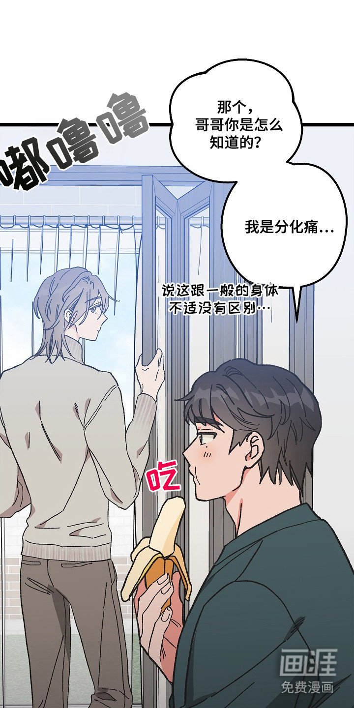 第9章：二次分化