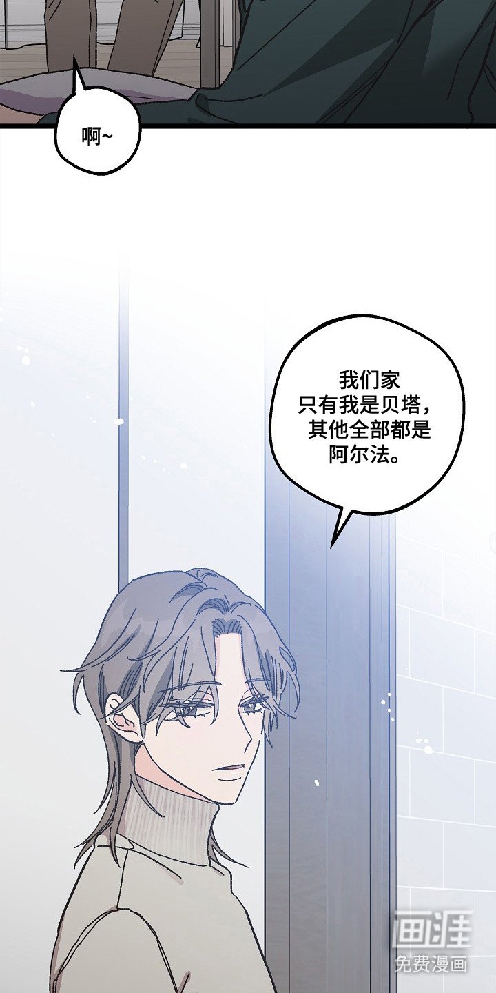 第9章：二次分化