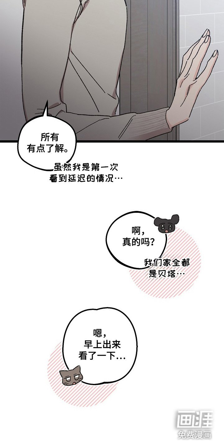 第9章：二次分化