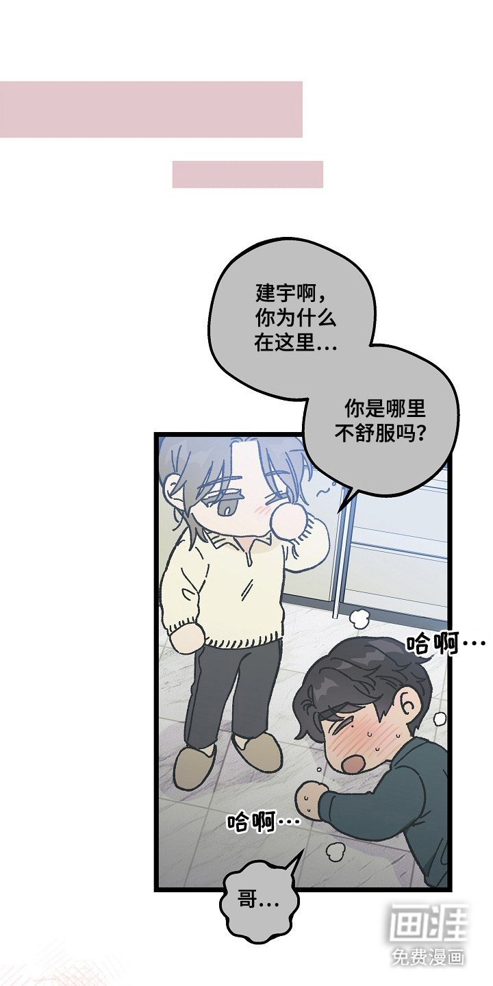 第9章：二次分化