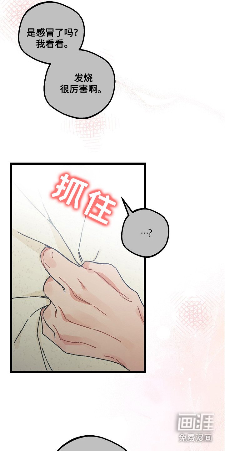 第9章：二次分化