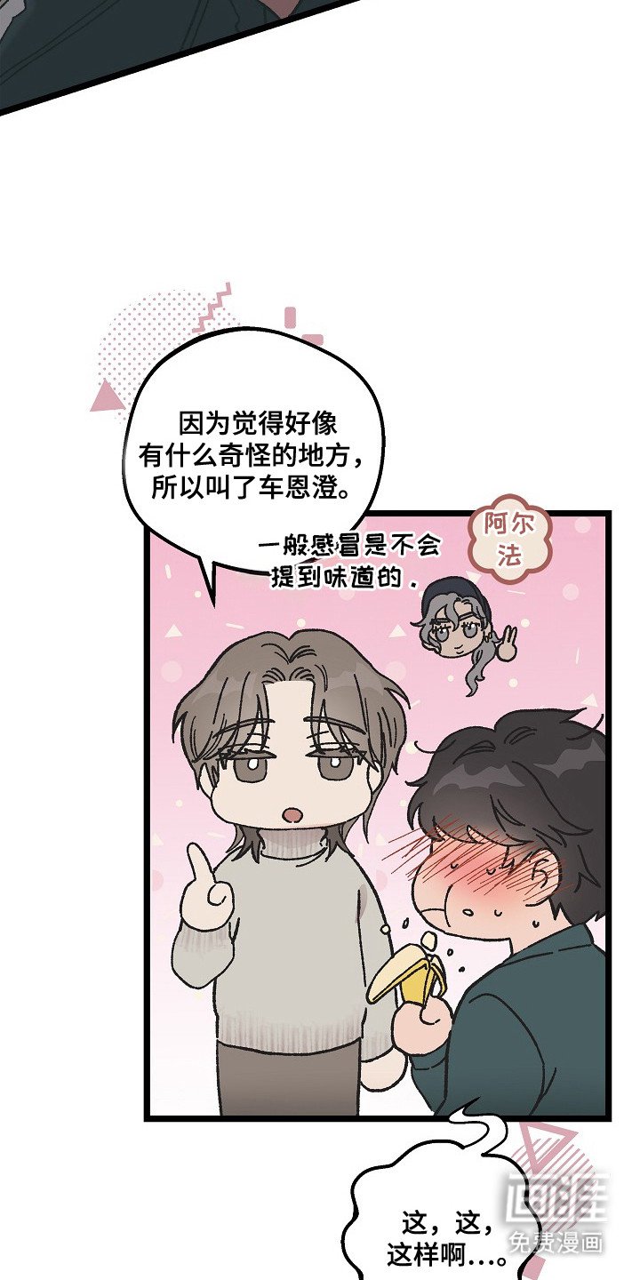 第9章：二次分化