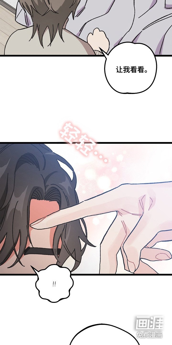 第9章：二次分化