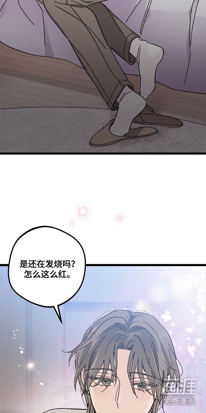 第9章：二次分化