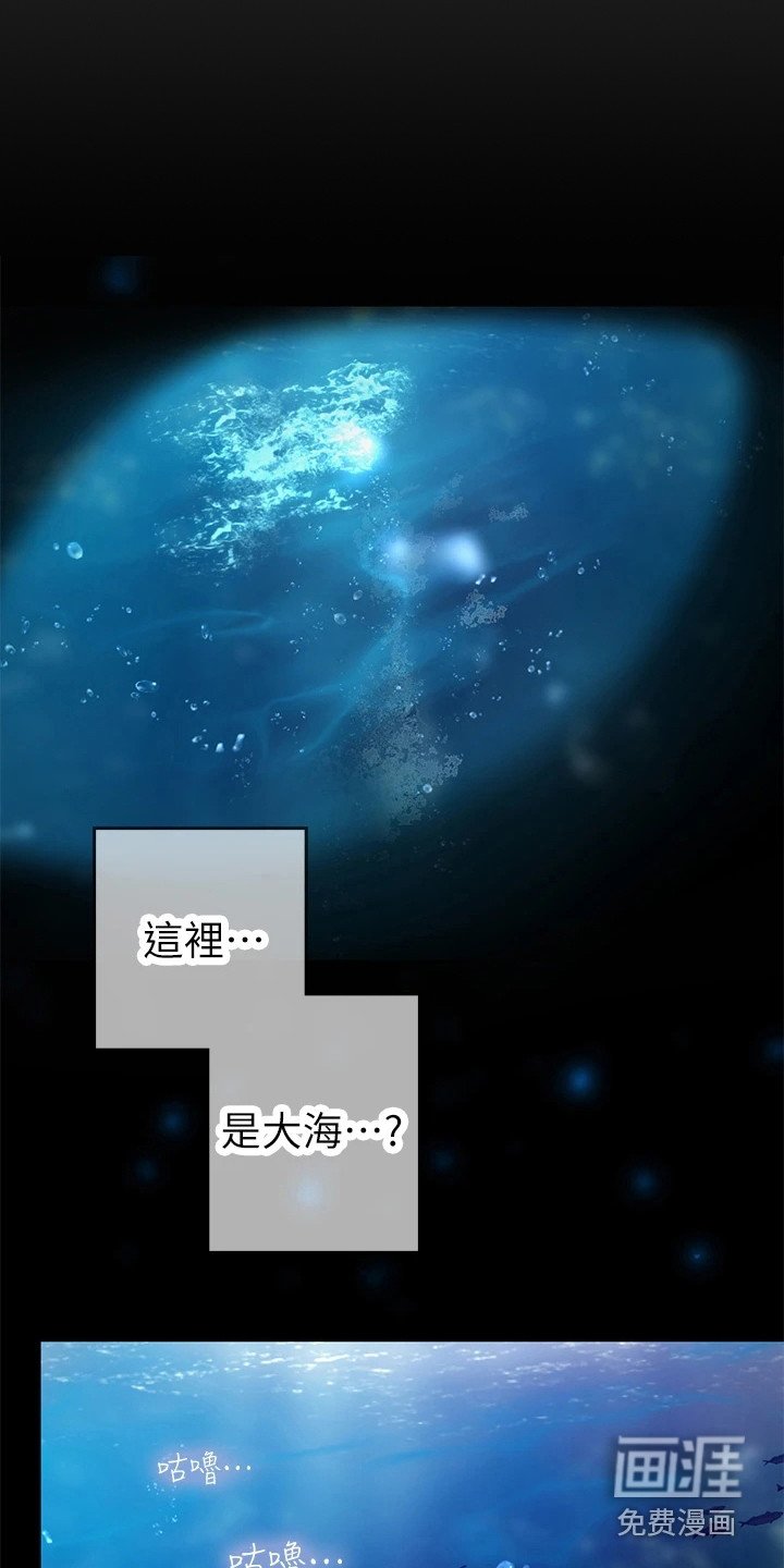 第14章：做梦