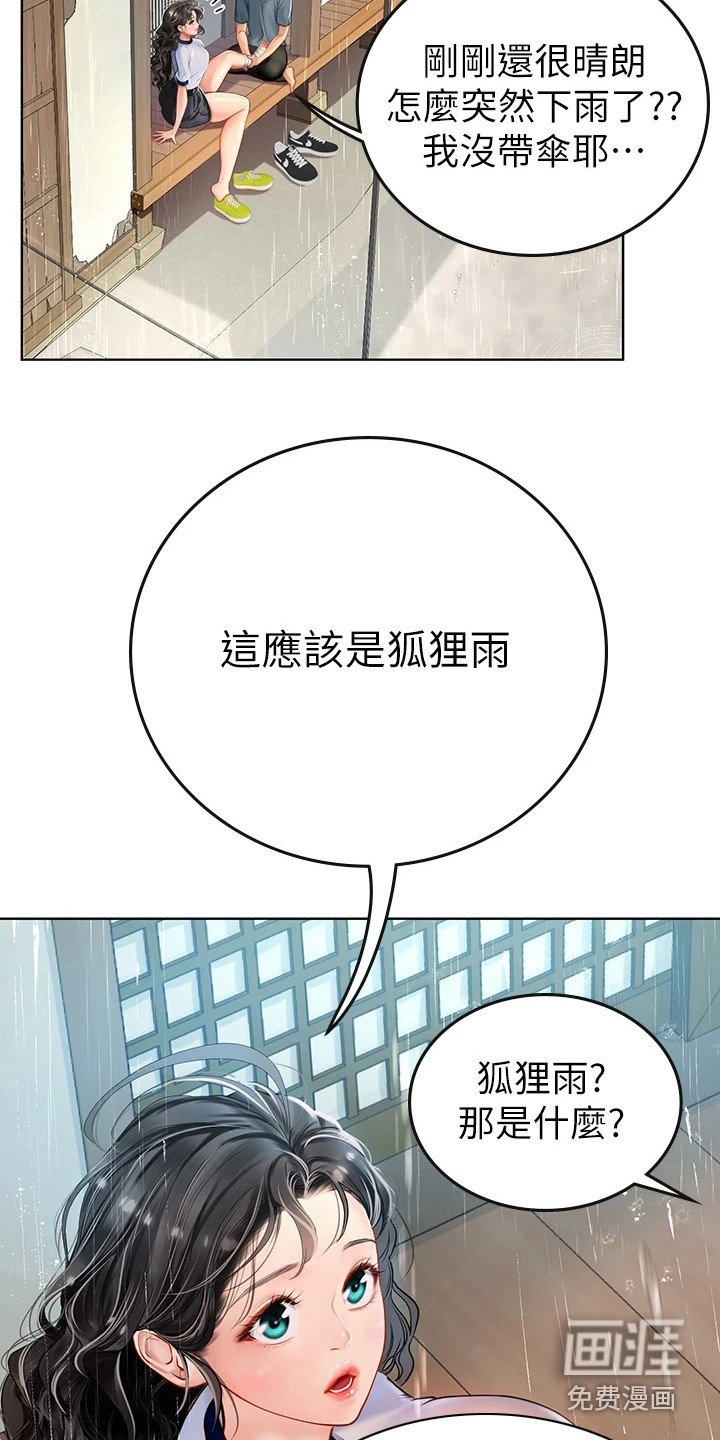 第18章：狐狸雨
