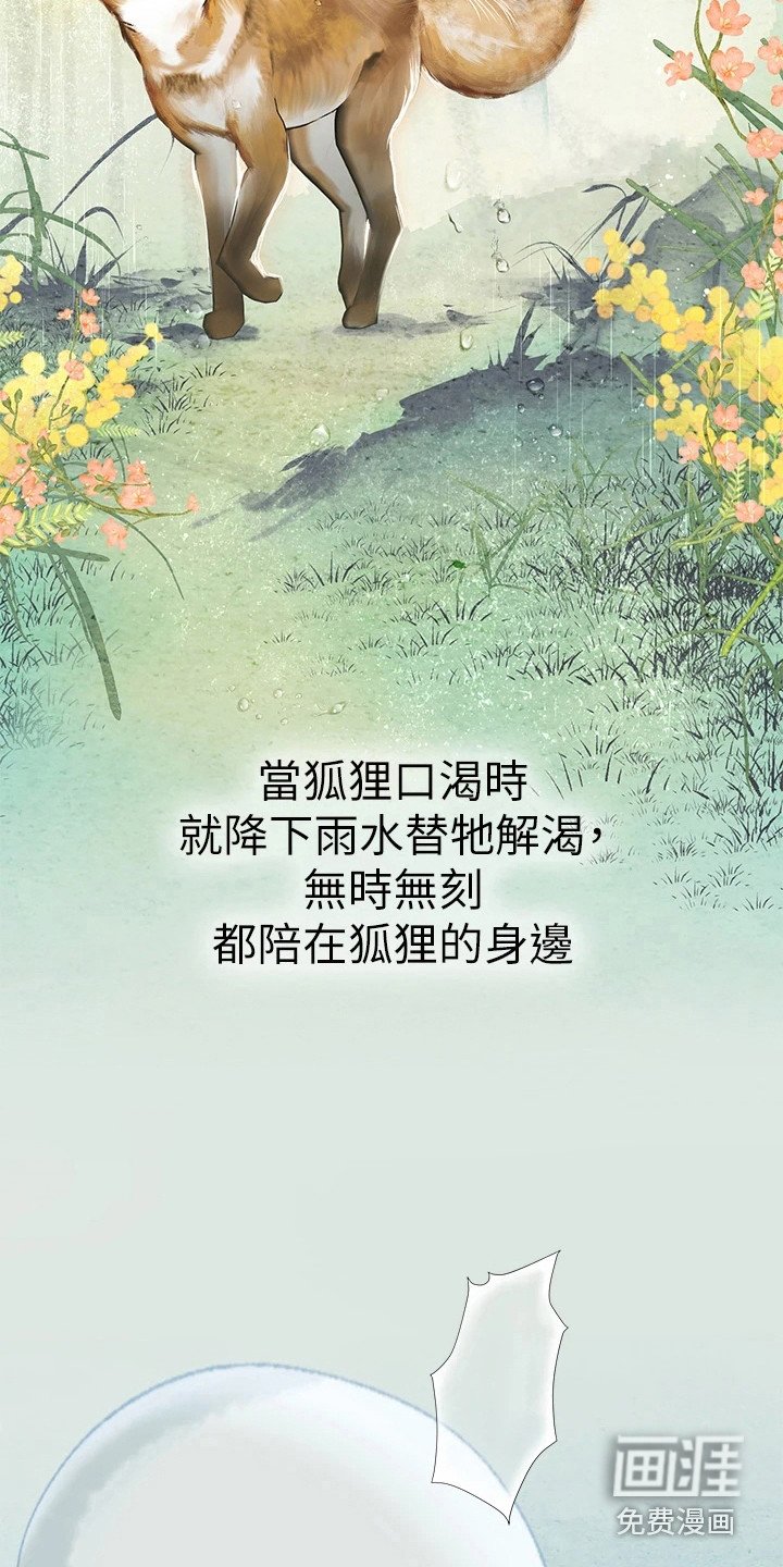 第18章：狐狸雨