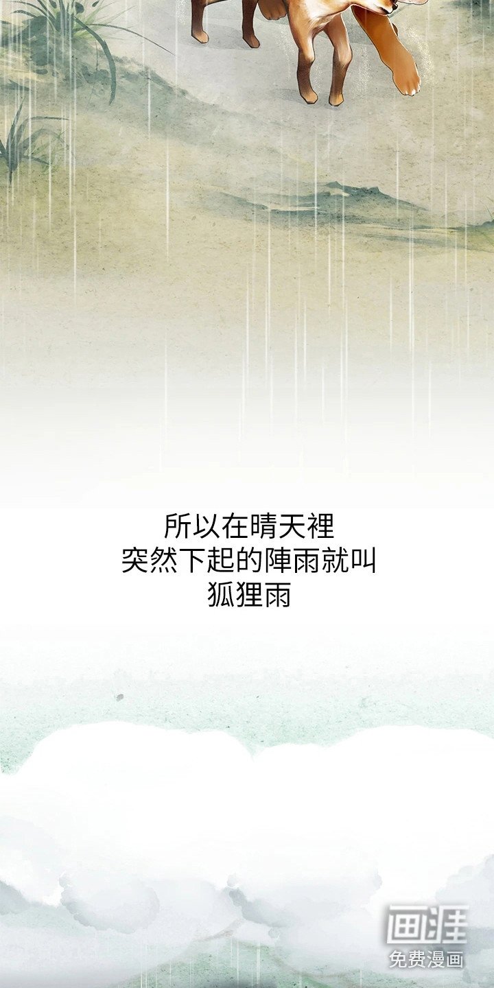 第18章：狐狸雨