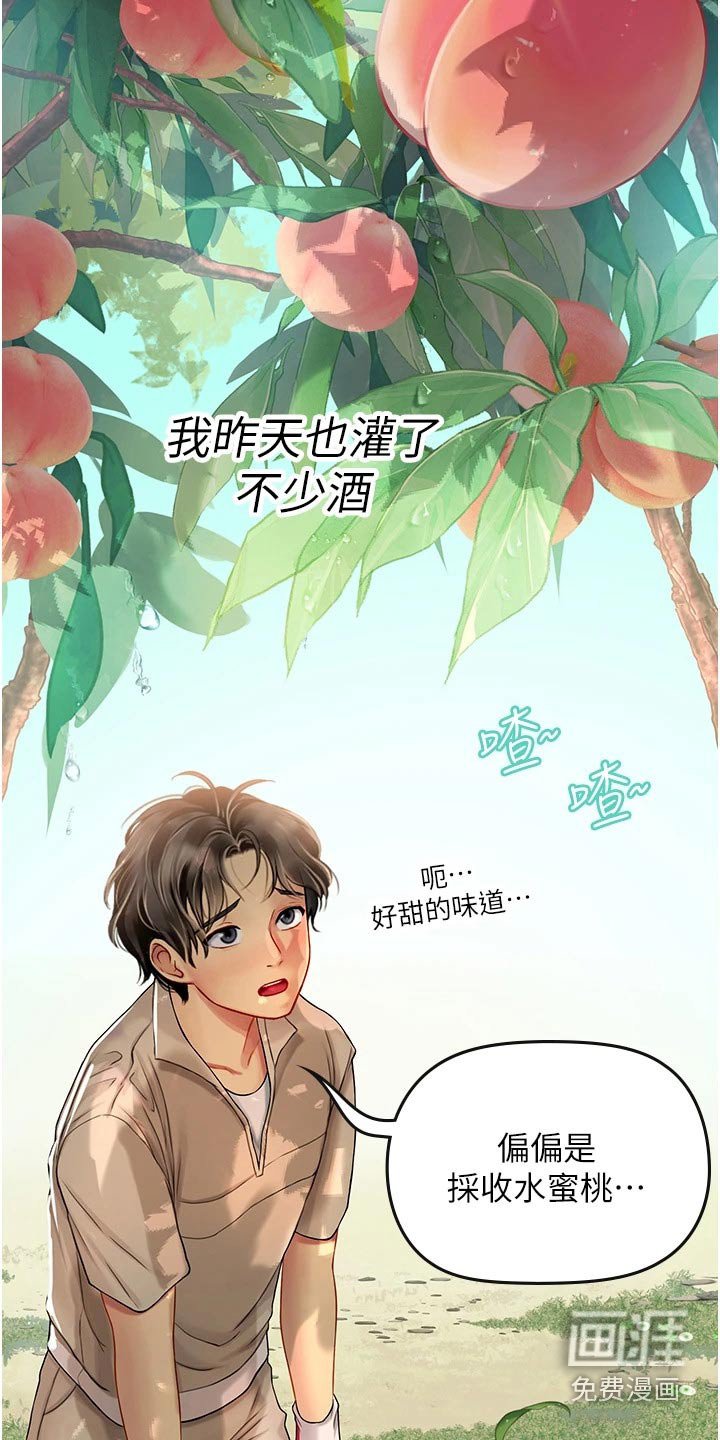 第45章：水蜜桃
